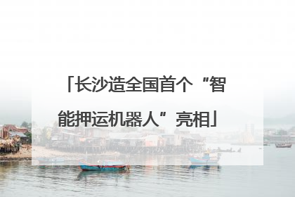 长沙造全国首个“智能押运机器人”亮相
