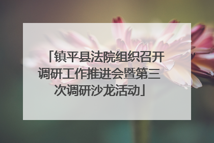 镇平县法院组织召开调研工作推进会暨第三次调研沙龙活动