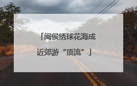 闽侯绣球花海成近郊游“顶流”