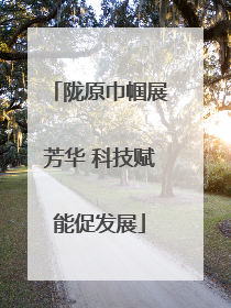 陇原巾帼展芳华 科技赋能促发展