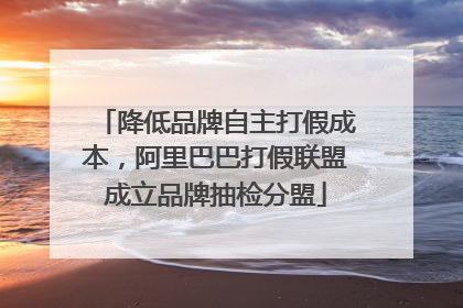 降低品牌自主打假成本，阿里巴巴打假联盟成立品牌抽检分盟