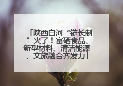 陕西白河“链长制”火了！富硒食品、新型材料、清洁能源、文旅融合齐发力