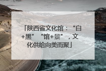 陕西省文化馆：“白+黑”“馆+景”，文化供给向美而聚