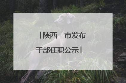 陕西一市发布干部任职公示
