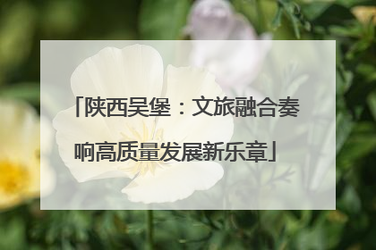 陕西吴堡：文旅融合奏响高质量发展新乐章