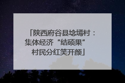 陕西府谷县埝墕村：集体经济“结硕果” 村民分红笑开颜