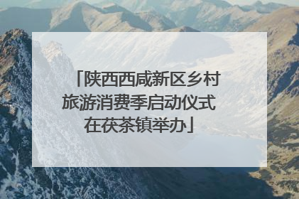 陕西西咸新区乡村旅游消费季启动仪式在茯茶镇举办