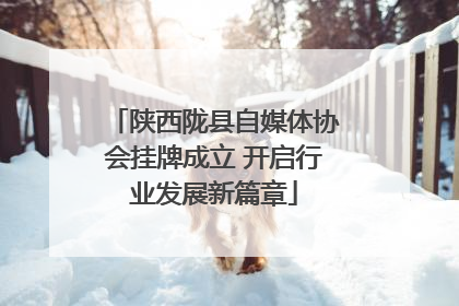 陕西陇县自媒体协会挂牌成立 开启行业发展新篇章