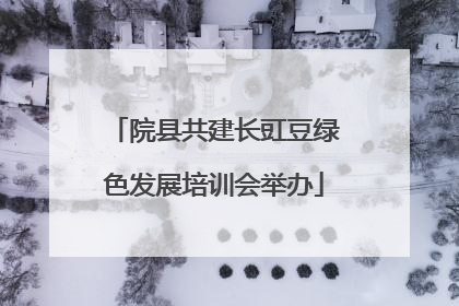 院县共建长豇豆绿色发展培训会举办