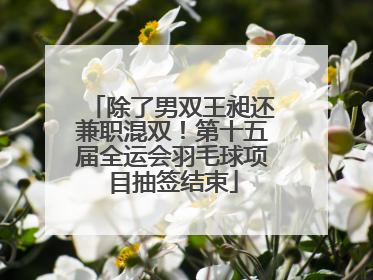 除了男双王昶还兼职混双！第十五届全运会羽毛球项目抽签结束
