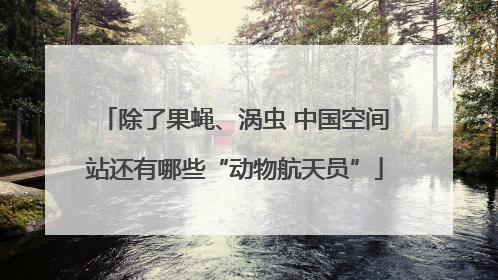 除了果蝇、涡虫 中国空间站还有哪些“动物航天员”