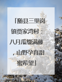 随县三里岗镇贾家湾村:八月瓜缀满藤,山野孕育甜蜜希望