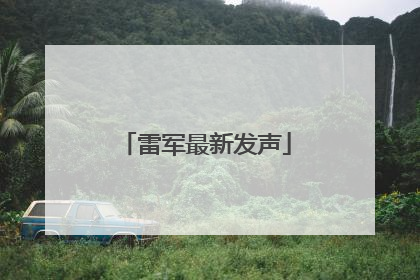 雷军最新发声