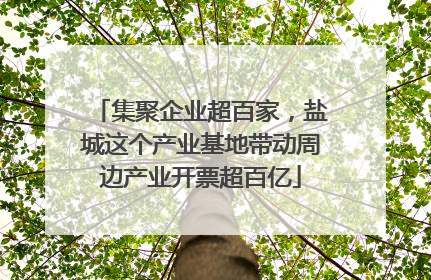集聚企业超百家，盐城这个产业基地带动周边产业开票超百亿