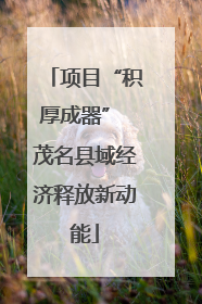 项目“积厚成器” 茂名县域经济释放新动能