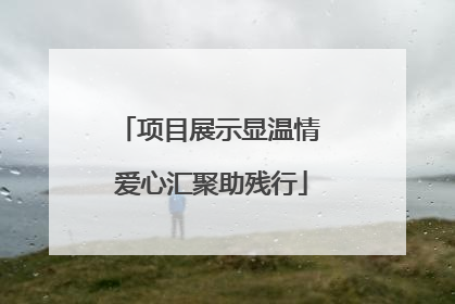 项目展示显温情 爱心汇聚助残行