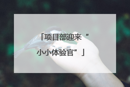 项目部迎来“小小体验官”