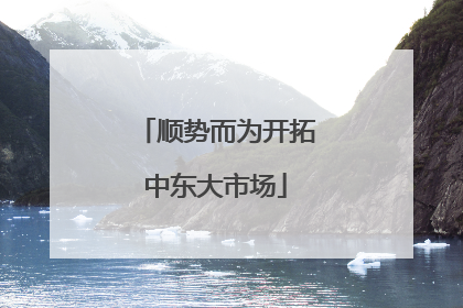 顺势而为开拓中东大市场