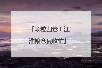 颗粒归仓！江淮粮仓夏收忙