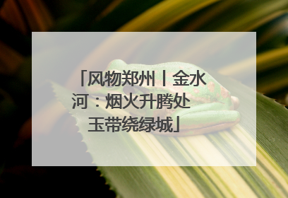 风物郑州丨金水河：烟火升腾处 玉带绕绿城