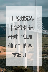 飞羽镜界｜新华社记者对“高原仙子”的四季追寻
