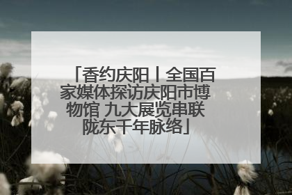 香约庆阳丨全国百家媒体探访庆阳市博物馆 九大展览串联陇东千年脉络