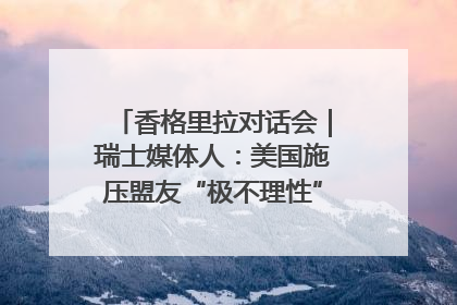 香格里拉对话会｜瑞士媒体人：美国施压盟友“极不理性” 欧洲国家无意与中国“脱钩断链”