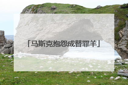 马斯克抱怨成替罪羊