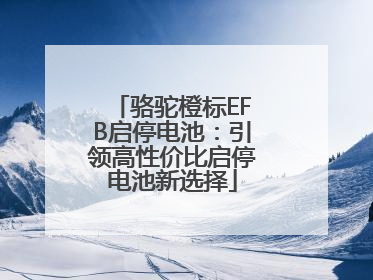 骆驼橙标EFB启停电池：引领高性价比启停电池新选择