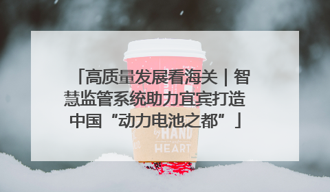 高质量发展看海关｜智慧监管系统助力宜宾打造中国“动力电池之都”