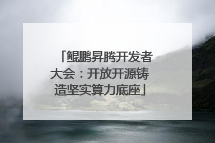 鲲鹏昇腾开发者大会：开放开源铸造坚实算力底座