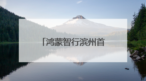 鸿蒙智行滨州首家授权用户中心盛大开业，开启智慧出行新篇章！