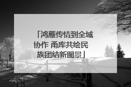 鸿雁传情到全域协作 甬库共绘民族团结新图景