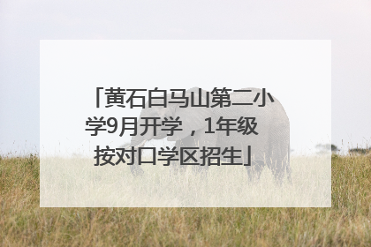 黄石白马山第二小学9月开学，1年级按对口学区招生