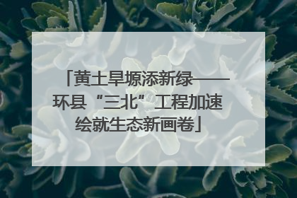 黄土旱塬添新绿——环县“三北”工程加速绘就生态新画卷