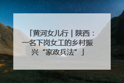 黄河女儿行｜陕西：一名下岗女工的乡村振兴“家政兵法”