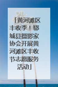 黄河滩区丰收季！郓城县摄影家协会开展黄河滩区丰收节志愿服务活动