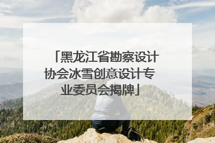 黑龙江省勘察设计协会冰雪创意设计专业委员会揭牌