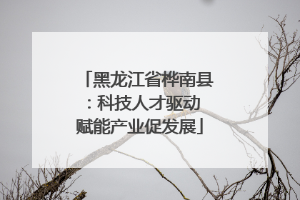 黑龙江省桦南县：科技人才驱动 赋能产业促发展
