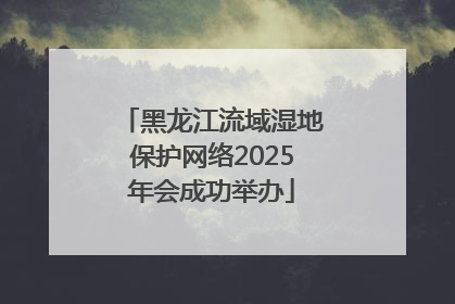 黑龙江流域湿地保护网络2025年会成功举办