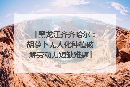 黑龙江齐齐哈尔：胡萝卜无人化种植破解劳动力短缺难题