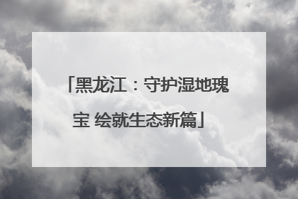黑龙江：守护湿地瑰宝 绘就生态新篇
