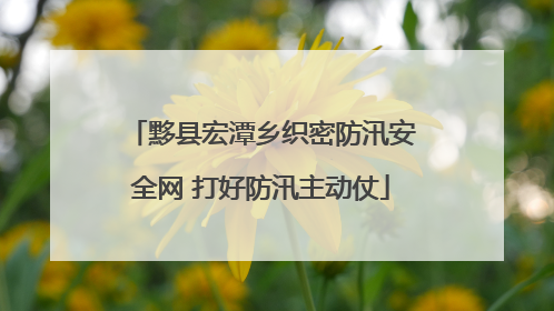 黟县宏潭乡织密防汛安全网 打好防汛主动仗