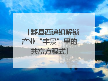 黟县西递镇解锁产业“丰景”里的共富方程式