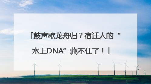 鼓声歇龙舟归？宿迁人的“水上DNA”藏不住了！
