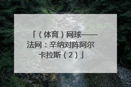 （体育）网球——法网：辛纳对阵阿尔卡拉斯（2）