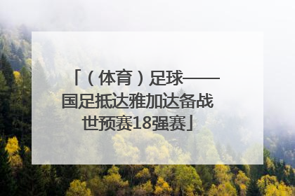 （体育）足球——国足抵达雅加达备战世预赛18强赛