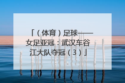 （体育）足球——女足亚冠：武汉车谷江大队夺冠（3）