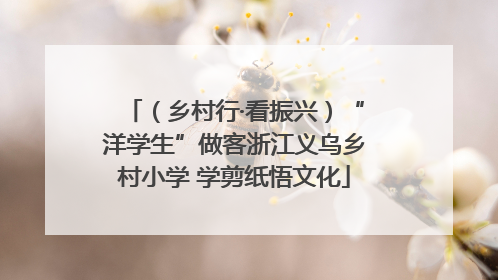 （乡村行·看振兴）“洋学生”做客浙江义乌乡村小学 学剪纸悟文化