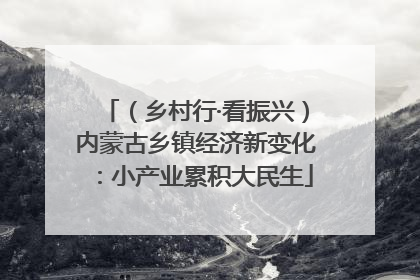 （乡村行·看振兴）内蒙古乡镇经济新变化：小产业累积大民生